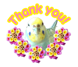 Cool pi-tyan 1 sticker #13671614