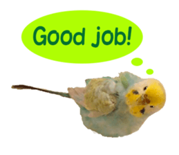 Cool pi-tyan 1 sticker #13671616