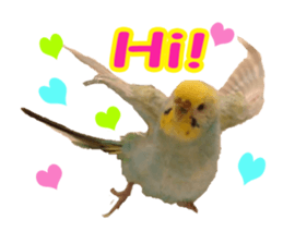 Cool pi-tyan 1 sticker #13671617