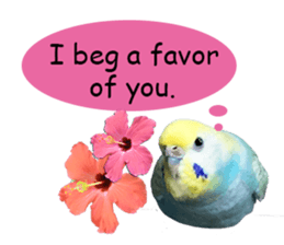 Cool pi-tyan 1 sticker #13671618