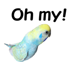 Cool pi-tyan 1 sticker #13671619