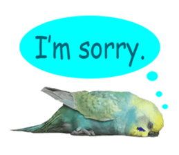 Cool pi-tyan 1 sticker #13671620