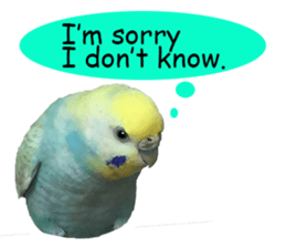 Cool pi-tyan 1 sticker #13671621