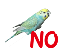 Cool pi-tyan 1 sticker #13671623