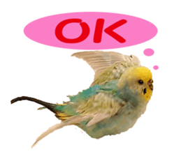 Cool pi-tyan 1 sticker #13671624