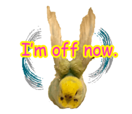 Cool pi-tyan 1 sticker #13671627