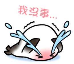 Strawberry Seal sticker #13671941