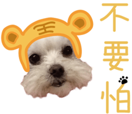 Lala's Life sticker #13671944