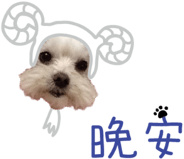 Lala's Life sticker #13671948