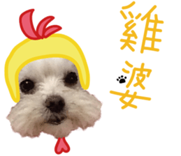 Lala's Life sticker #13671950