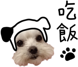 Lala's Life sticker #13671951