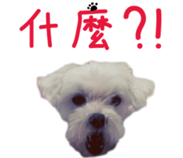 Lala's Life sticker #13671953