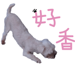 Lala's Life sticker #13671954