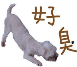 Lala's Life sticker #13671955