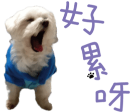 Lala's Life sticker #13671956