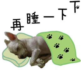 Lala's Life sticker #13671957