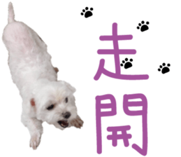 Lala's Life sticker #13671959