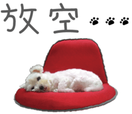 Lala's Life sticker #13671960