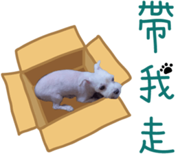 Lala's Life sticker #13671962