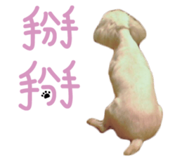 Lala's Life sticker #13671964