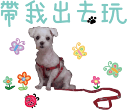 Lala's Life sticker #13671965