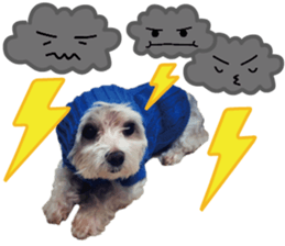 Lala's Life sticker #13671970