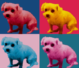 Lala's Life sticker #13671974