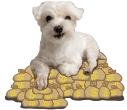 Lala's Life sticker #13671975