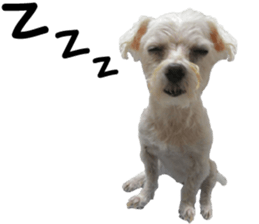 Lala's Life sticker #13671976