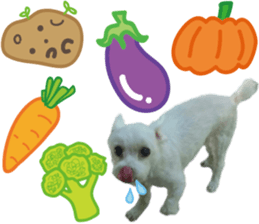 Lala's Life sticker #13671977