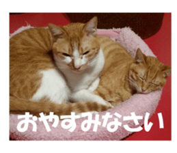 Boogie & Honey ver.2 sticker #13673567