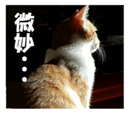 Boogie & Honey ver.2 sticker #13673568