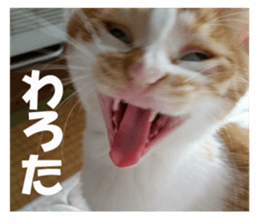 Boogie & Honey ver.2 sticker #13673569