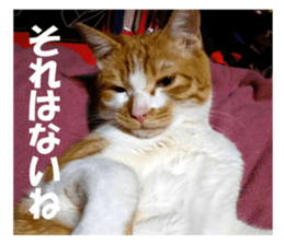 Boogie & Honey ver.2 sticker #13673570