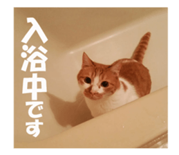 Boogie & Honey ver.2 sticker #13673572