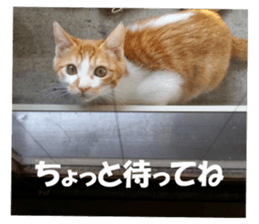 Boogie & Honey ver.2 sticker #13673574