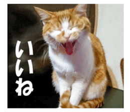 Boogie & Honey ver.2 sticker #13673577