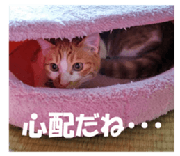 Boogie & Honey ver.2 sticker #13673578