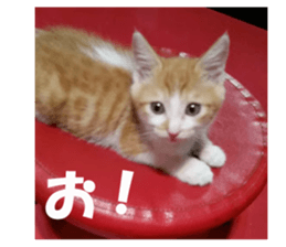 Boogie & Honey ver.2 sticker #13673579