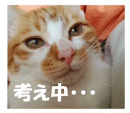 Boogie & Honey ver.2 sticker #13673580