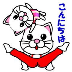 A white cat which does gymnastics