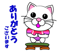 A white cat which does gymnastics sticker #13674715