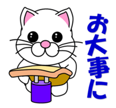 A white cat which does gymnastics sticker #13674727