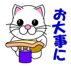 A white cat which does gymnastics sticker #13674727