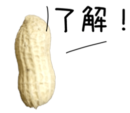 How about these Peanuts? sticker #13676122