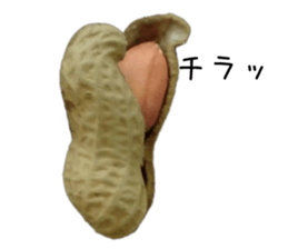 How about these Peanuts? sticker #13676129