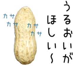 How about these Peanuts? sticker #13676146