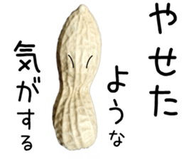 How about these Peanuts? sticker #13676147