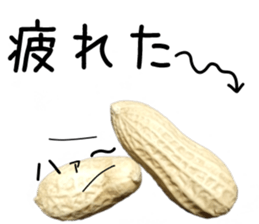 How about these Peanuts? sticker #13676148
