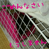 niboshirasu sticker #13676912